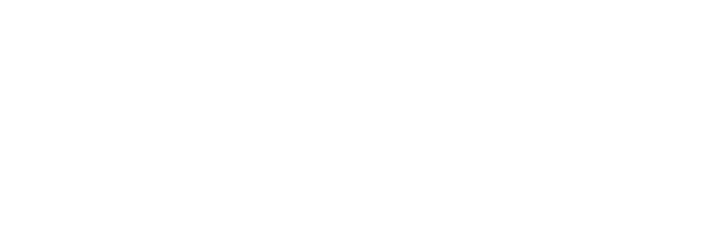 White Force Physical Therapy Logo