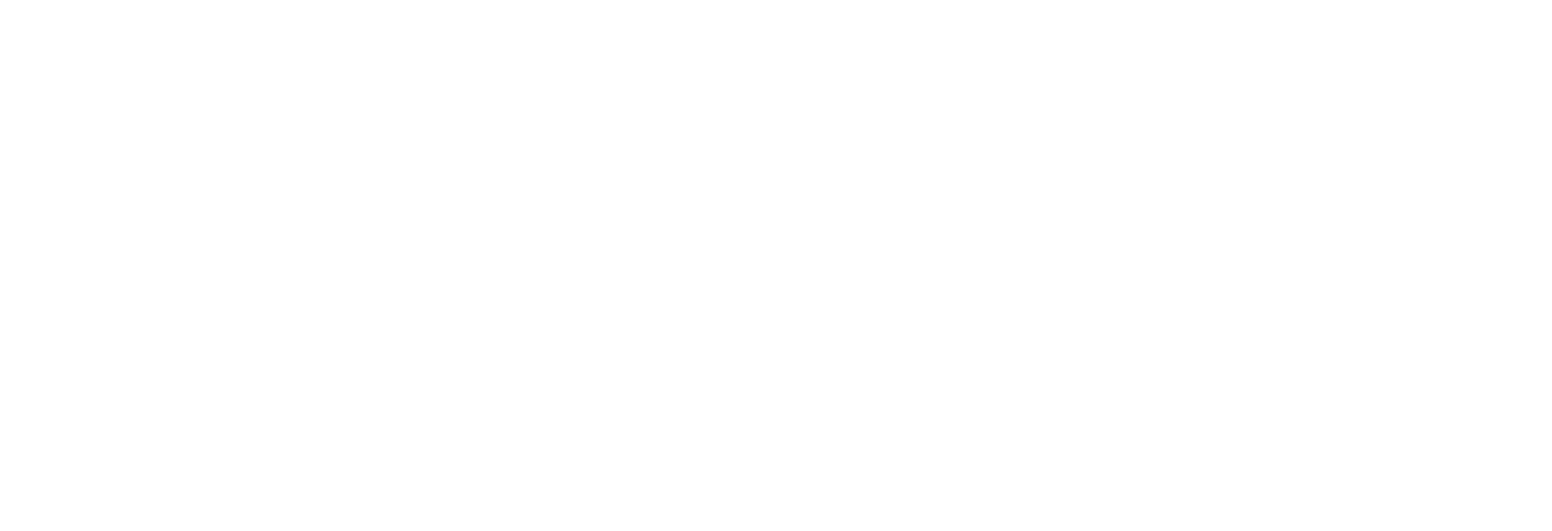 White Force Physical Therapy Logo
